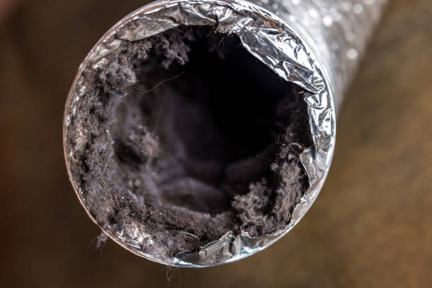 Best Air Duct Inspection  in Lynwood, CA